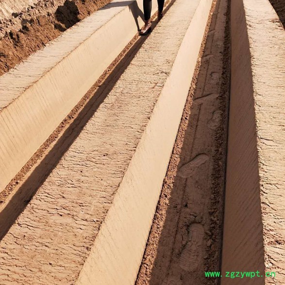 日照蓝莓起垄机  葛根筑梗机 大型起垄机厂家定制图4