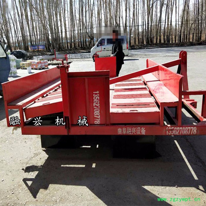 苦参秧苗移植机 黄芪二次移栽机 丹参苗收获机厂家批发价格图3