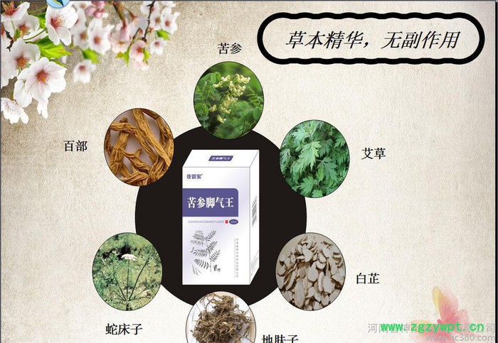 苦参脚气王 去脚臭** 火爆招商OEM贴牌生产图2