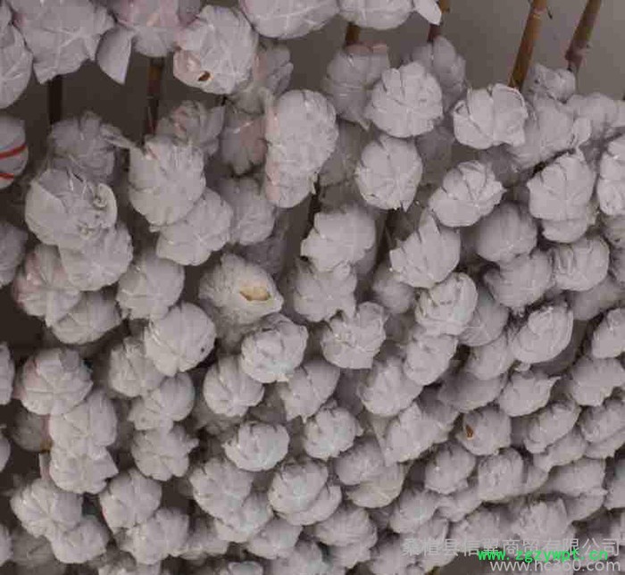 直销 葛根粉 纯**特产**产地货源养生保健产品 量大优惠图3