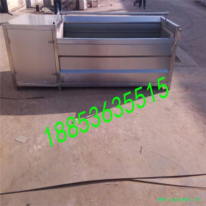 葛根清洗机洋葱去皮机红薯去皮机毛辊清洗去皮机毛刷清洗去图5