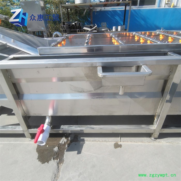 众惠80-14 黄精气泡清洗机   苦参304不锈钢清洗机  红参气泡清洗机  喷淋式清洗冲洗机图2