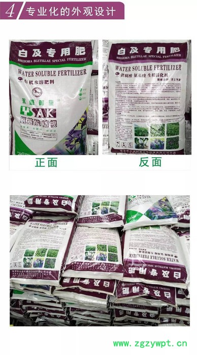 白及专用肥、白芨专用肥、白及肥料、白芨肥料、白及肥图7