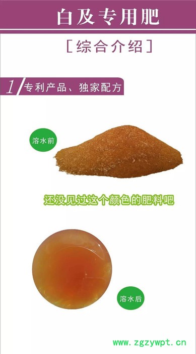 白及专用肥、白芨专用肥、白及肥料、白芨肥料、白及肥图5
