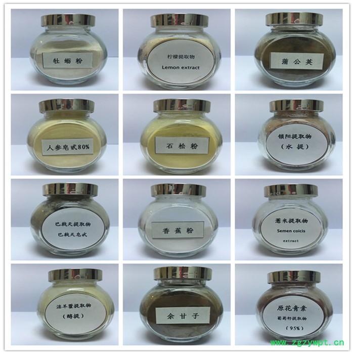 斯诺特 苦参粉 苦参喷雾干燥粉 生产厂家图5