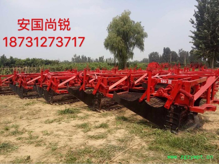 尚锐140 药材收获机 知母收获机图2