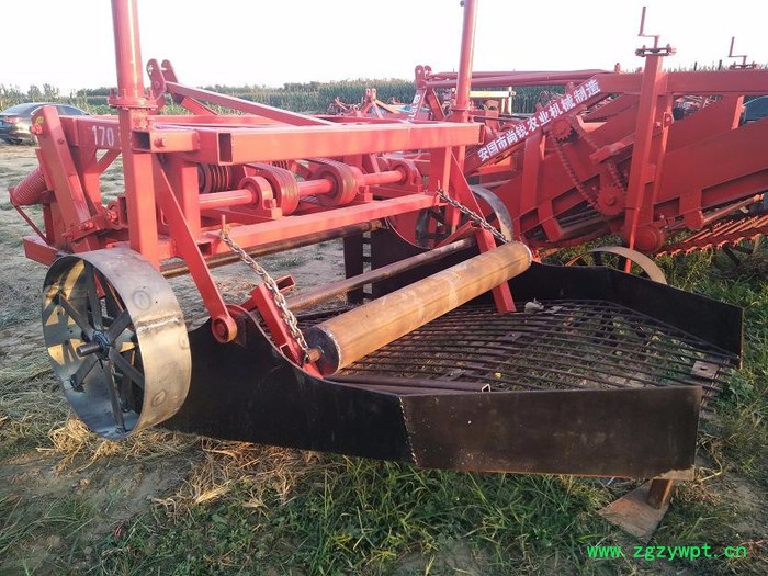 尚锐140 药材收获机 知母收获机图6