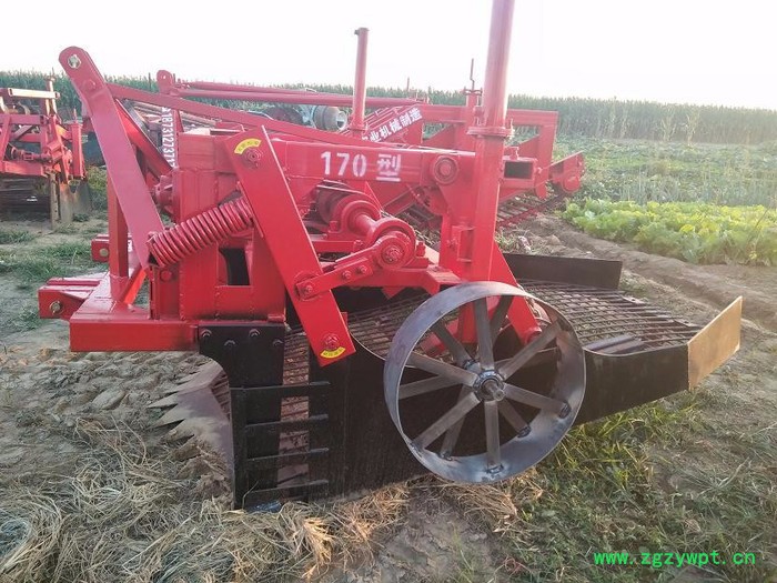 尚锐140 药材收获机 知母收获机图4