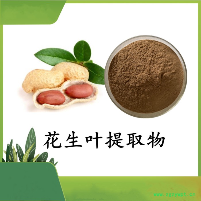 白芨提取物 斯诺特 可定制图2