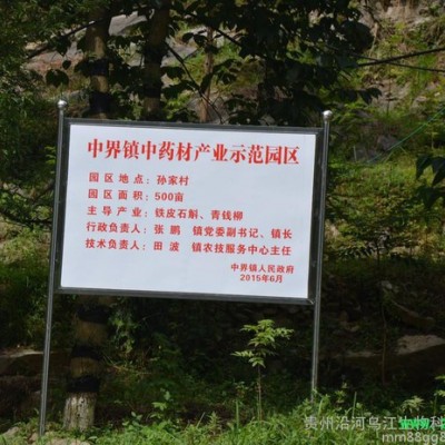 白及白芨白及训化苗种苗