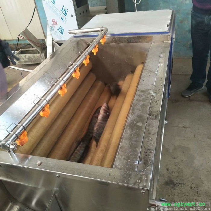 鼎鸿MQX-1200型毛棍清洗机 桔梗去皮清洗机 木薯清洗机 地瓜去皮清洗设备 葛根清洗设备图8