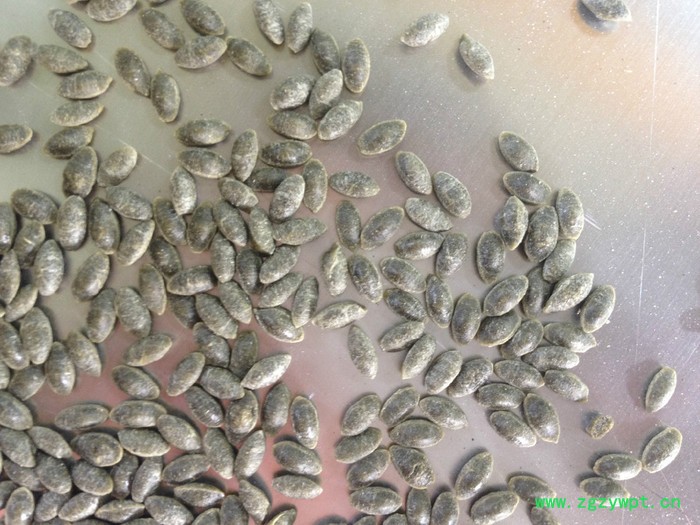 葛根米系列生产设备济南霖奥机械设备图8