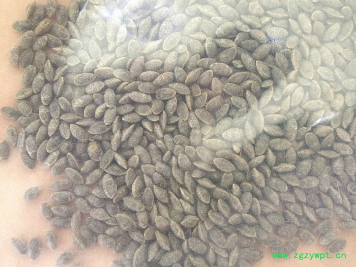 葛根米系列生产设备济南霖奥机械设备图4