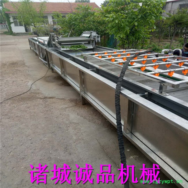 诚品 芥菜毛辊清洗机 大蒜去皮清洗机 胡萝卜去泥去皮清洗机 葛根清洗机 海虹海蛎子毛辊清洗机 价格优惠 不锈钢材质图4