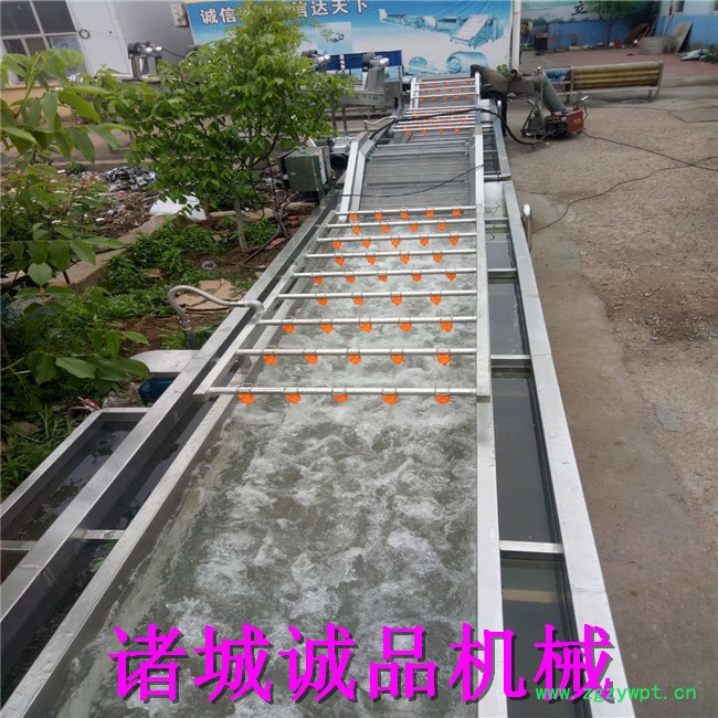 诚品 芥菜毛辊清洗机 大蒜去皮清洗机 胡萝卜去泥去皮清洗机 葛根清洗机 海虹海蛎子毛辊清洗机 价格优惠 不锈钢材质图2