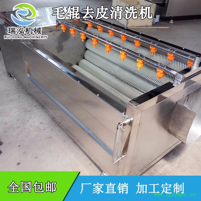 瑞泓MGX-1000葛根 黄精大黄清洗机 人参党参玛咖药材清洗机价格 天麻毛辊去皮清洗机 莲藕清洗抛光机图6