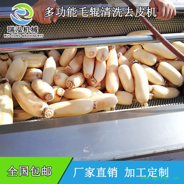 瑞泓MGX-1000葛根 黄精大黄清洗机 人参党参玛咖药材清洗机价格 天麻毛辊去皮清洗机 莲藕清洗抛光机图7
