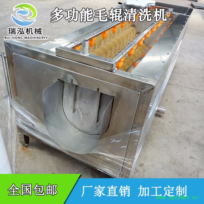 瑞泓MGX-1000葛根 黄精大黄清洗机 人参党参玛咖药材清洗机价格 天麻毛辊去皮清洗机 莲藕清洗抛光机图2