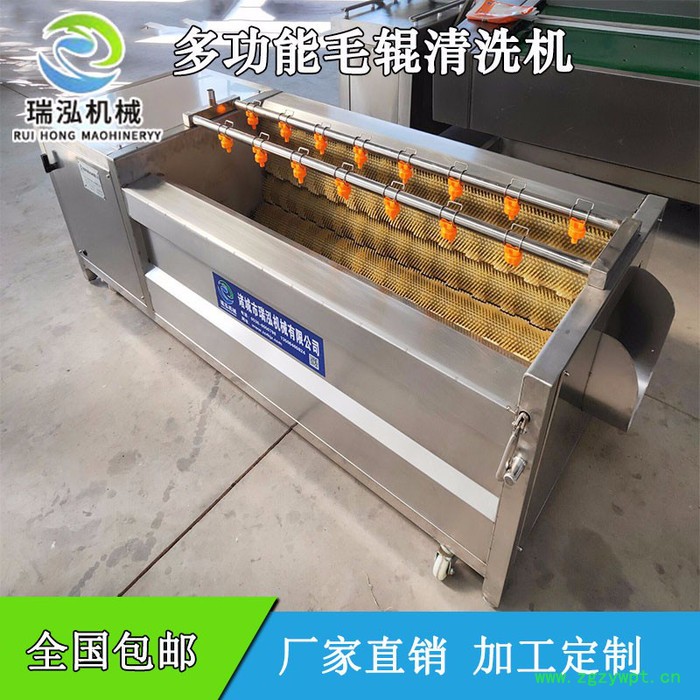 瑞泓MGX-1000葛根 黄精大黄清洗机 人参党参玛咖药材清洗机价格 天麻毛辊去皮清洗机 莲藕清洗抛光机图4