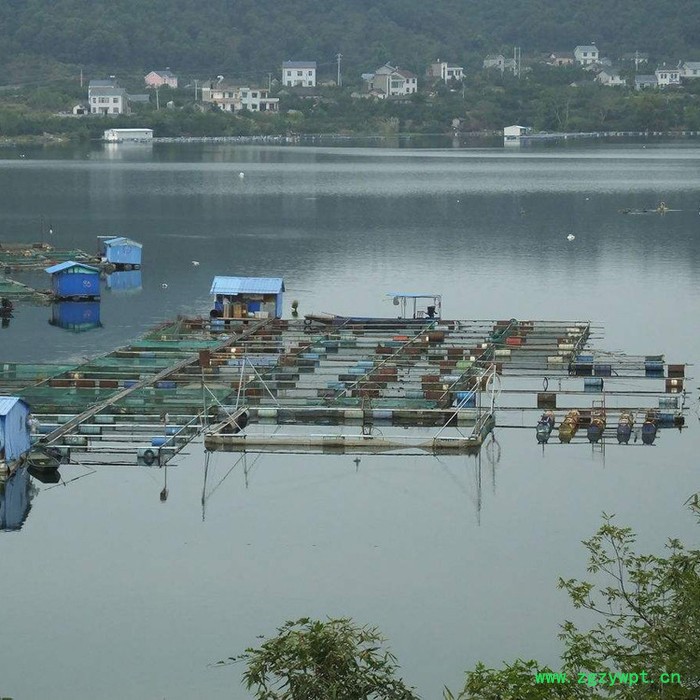 【永宏】  可定做  水蛭养殖网箱  鱼苗虾网箱  繁殖孵化网箱   泥鳅养殖网箱  黄鳝网箱图4
