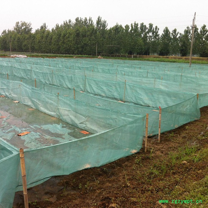 【永宏】  可定做  水蛭养殖网箱  鱼苗虾网箱  繁殖孵化网箱   泥鳅养殖网箱  黄鳝网箱图5