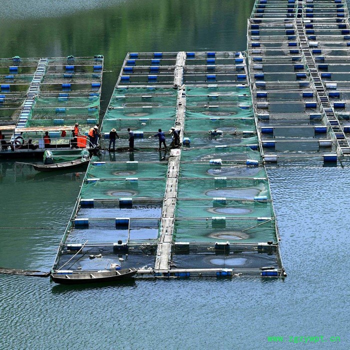 【永宏】  可定做  水蛭养殖网箱  鱼苗虾网箱  繁殖孵化网箱   泥鳅养殖网箱  黄鳝网箱图2