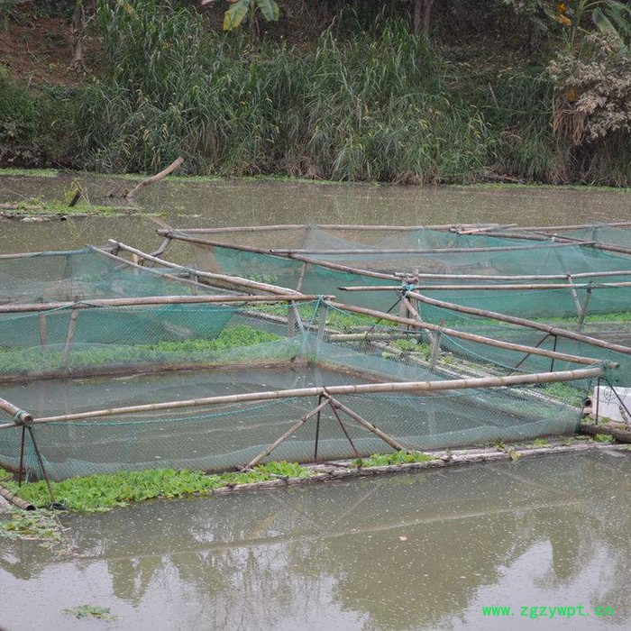 【永宏】  可定做  水蛭养殖网箱  鱼苗虾网箱  繁殖孵化网箱   泥鳅养殖网箱  黄鳝网箱图3