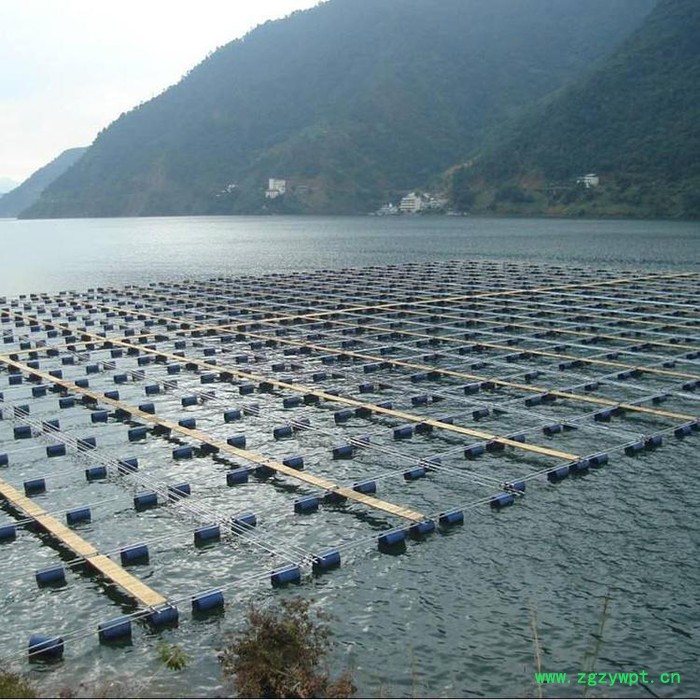 【永宏】  可定做  水蛭养殖网箱  鱼苗虾网箱  繁殖孵化网箱   泥鳅养殖网箱  黄鳝网箱图7