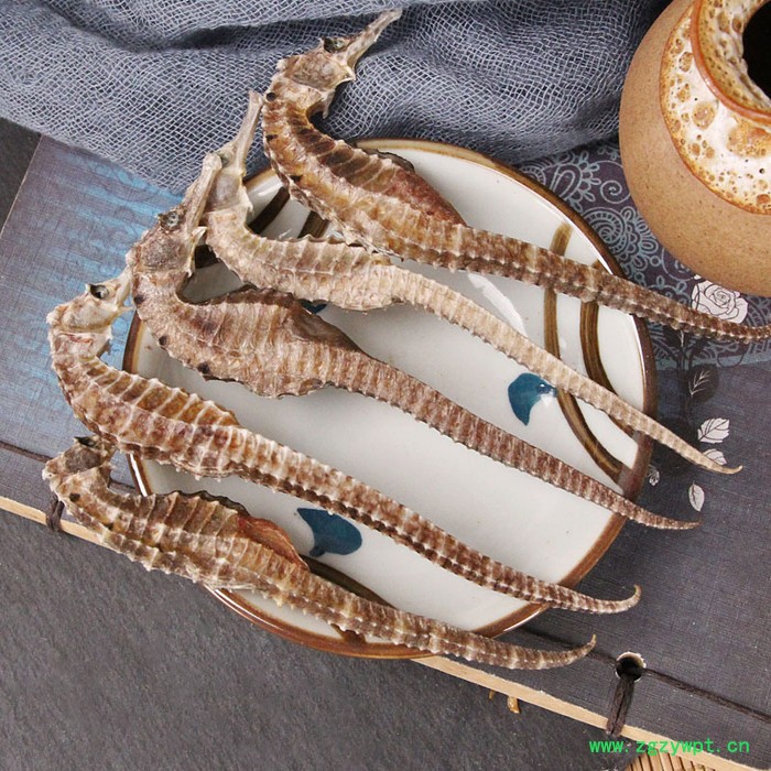 干货海马干无增重汤料海马一件代发量大价优泡酒料男性配方海马图3