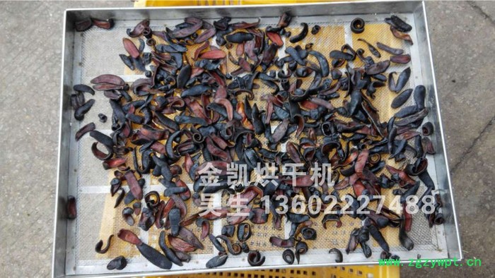 水蛭烘干机图2