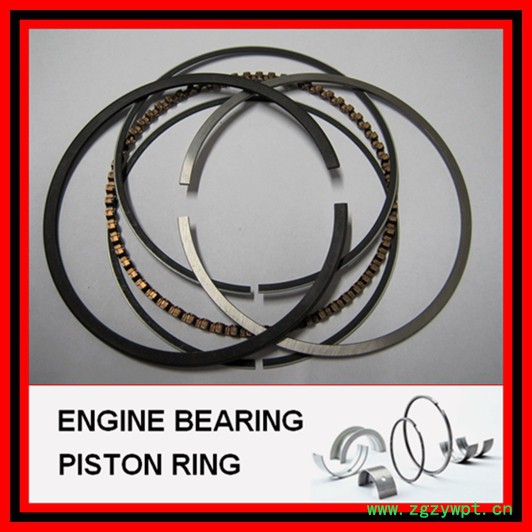 厂家**活塞环_海马福仕达_海马新鸿达活塞环图3