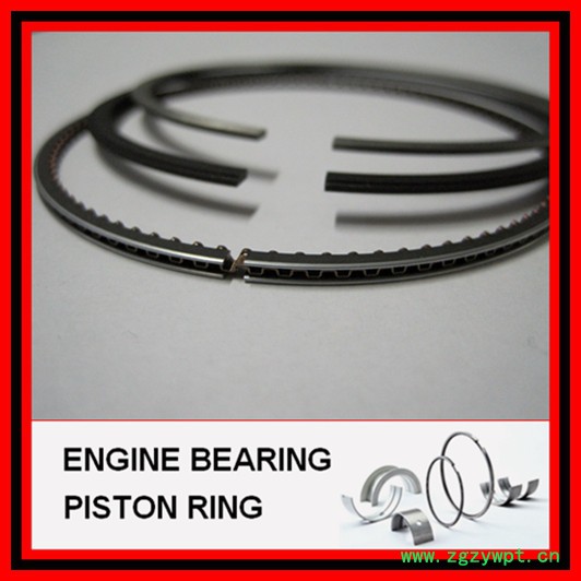 厂家**活塞环_海马福仕达_海马新鸿达活塞环图4