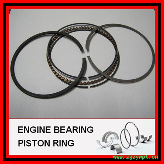 厂家**活塞环_海马福仕达_海马新鸿达活塞环图2