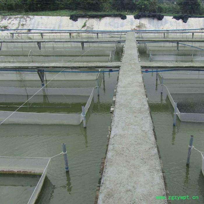 水塘养殖网箱 水蛭养殖网  乙烯养殖网 泥鳅黄鳝网箱  厂家定做图3
