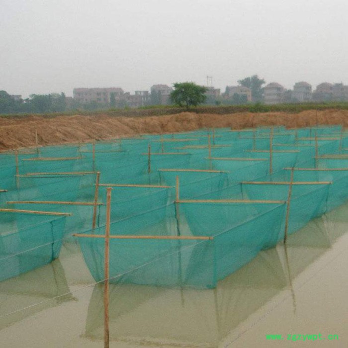 水塘养殖网箱 水蛭养殖网  乙烯养殖网 泥鳅黄鳝网箱  厂家定做图2