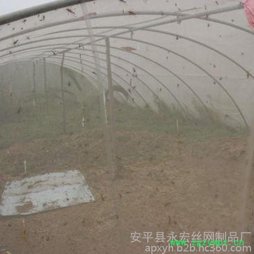 永宏  供应  30目40目50目60目  水蛭养殖网  蝗虫养殖网  养殖网图2