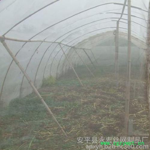 永宏  供应  30目40目50目60目  水蛭养殖网  蝗虫养殖网  养殖网图3