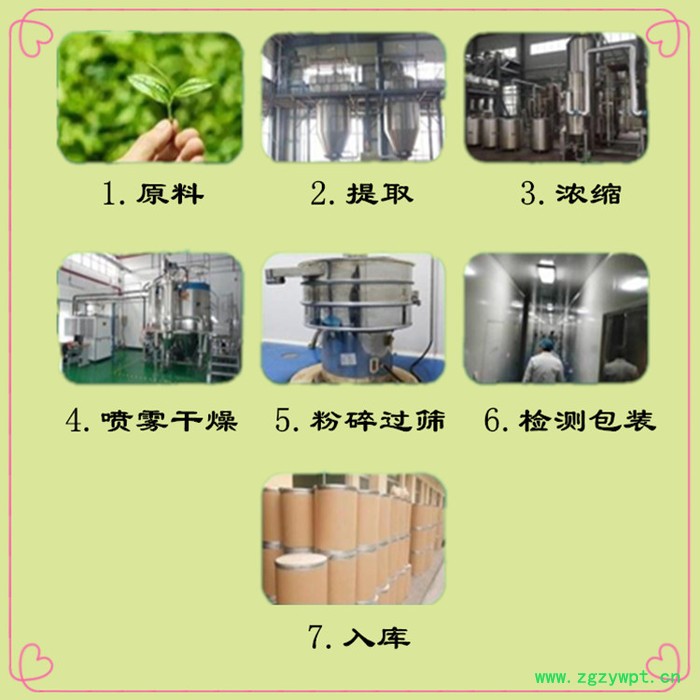 斯诺特 海马粉 海马喷雾干燥粉  生产厂家图8