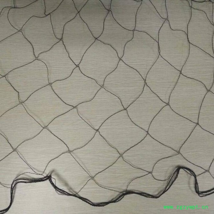 养殖泥鳅防鸟网  果园防鸟网批发  水蛭防鸟网  稻谷子防鸟网厂家图3