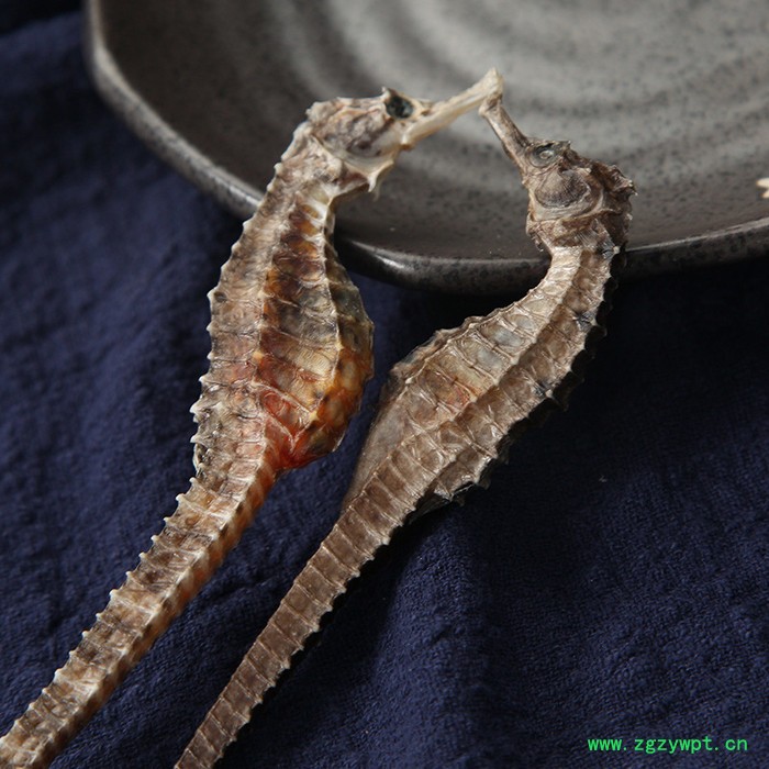 清水海马公母配对干货海马干无增重汤料泡酒海马养生泡酒料配方图3