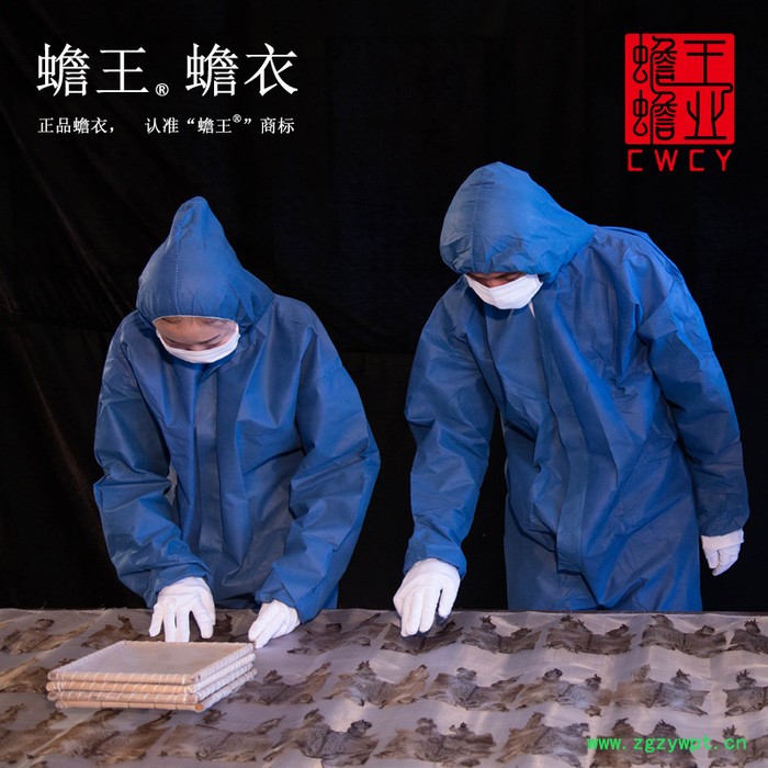 蟾王蟾制品批发特级蟾衣抗感冒