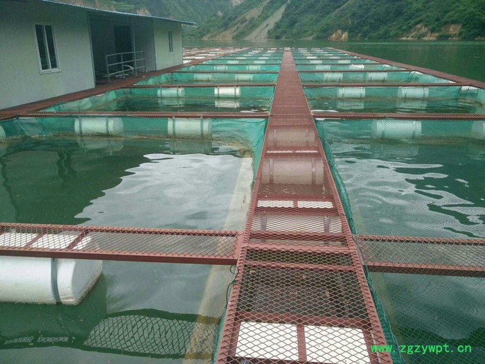 江河绳网 陕西专业水蛭网箱_渔业养殖网箱_捕捞设备_价格