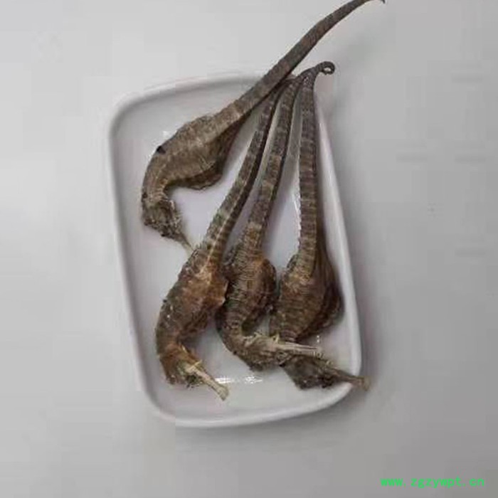 海马干货 一对10厘米3克 泡酒料男性配方图3