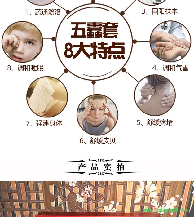 火动力美容院养生身体套盒五毒套-蜈蚣精粹套盒oem工厂贴牌图2