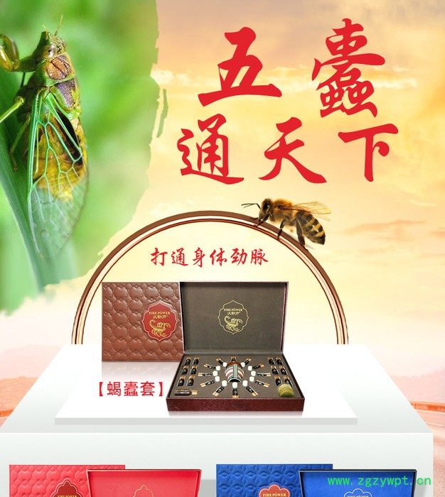 火动力美容院养生身体套盒五毒套-蜈蚣精粹套盒oem工厂贴牌图3