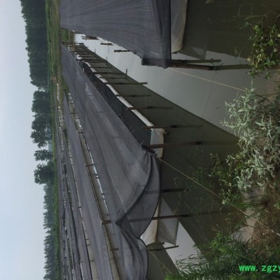 江海渔网 水蛭网箱厂家批发