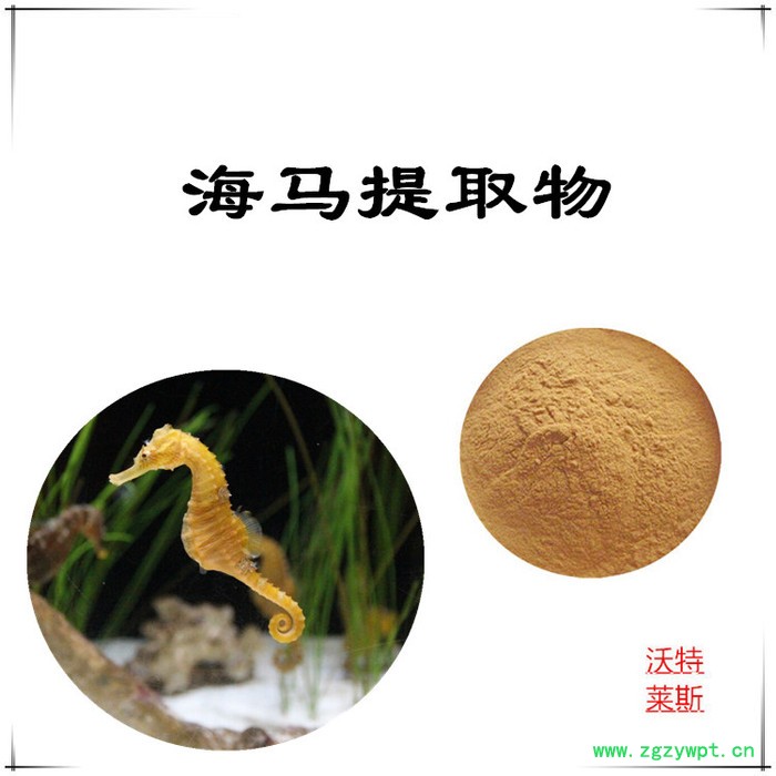 沃特莱斯 海马提取物10:1  速溶海马粉图5