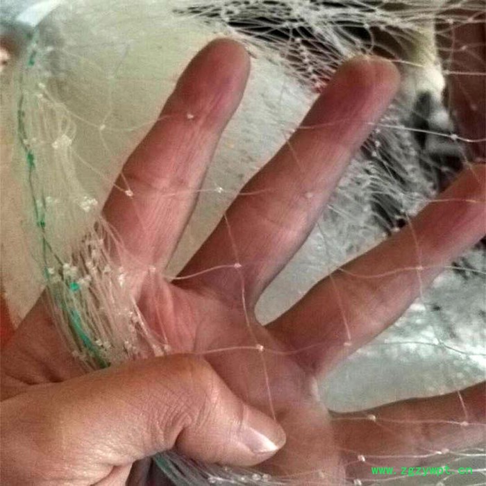 生产防鸟网 35米宽防鸟网 泥鳅养殖防鸟网 水蛭防鸟网图3