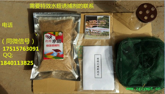 诱捕**水蛭蚂蝗 捕捉水蛭图5