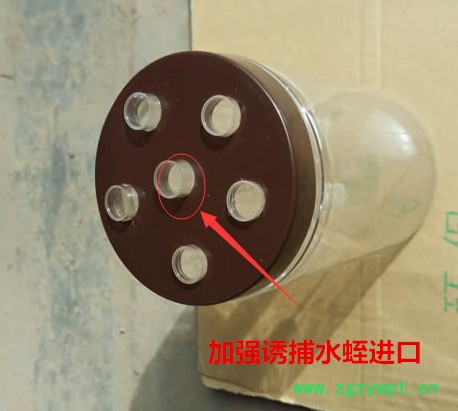 诱捕**水蛭蚂蝗 捕捉水蛭图2